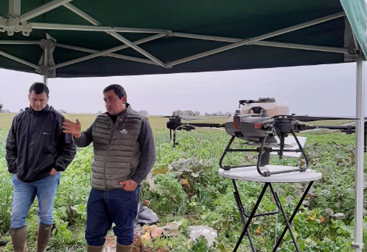 Le semis par drone permettrait de gagner de précieux jours  dans le développement du couvert. 