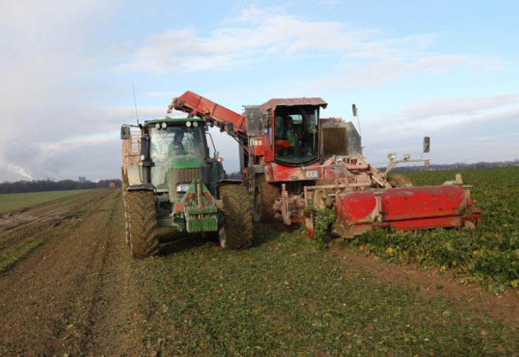 Concernant la rémunération des betteraves, Saint Louis Sucre s’engage à un prix minimum garanti de la betterave pour la campagne 2026 de 27 €/t à 16°.