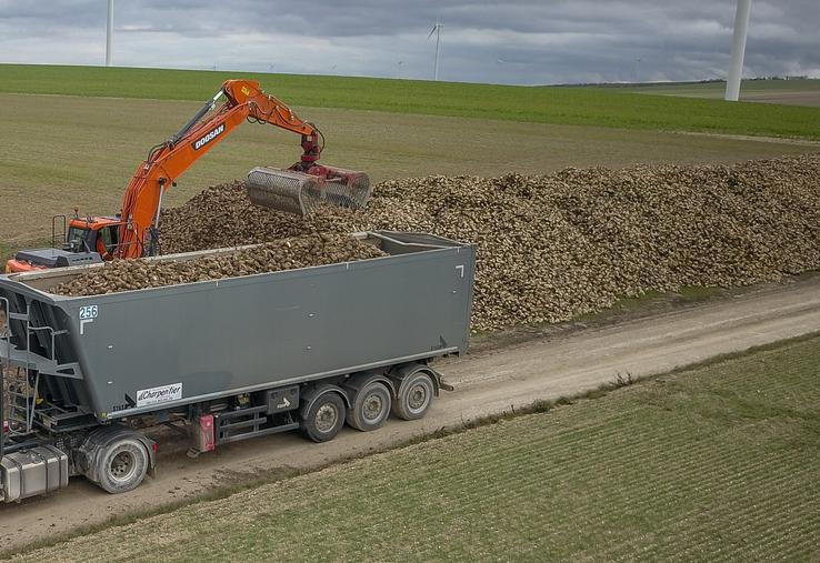 Tereos prix de betteraves campagne 2025-2026