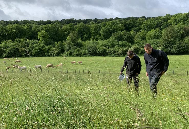 Les éleveurs du PMAZH bénéficient d’un accompagnement technique, notamment sur la gestion du pâturage. 