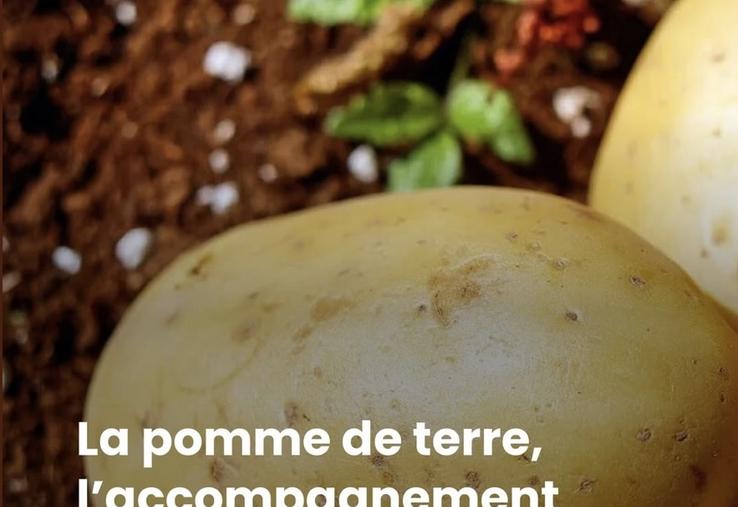 Article sur la pomme de terre et la cuisine du gibier dans Le Chasseur Français