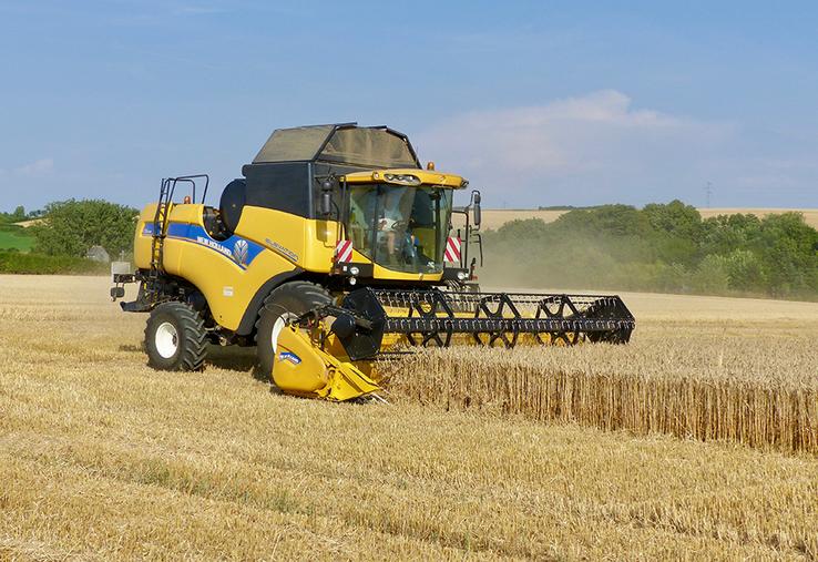 Cette année, FranceAgriMer s’attend à une nette reprise des exportations  de grains vers les pays permise par le retour d’une production céréalière au niveau des campagnes antérieures à 2024-2025.