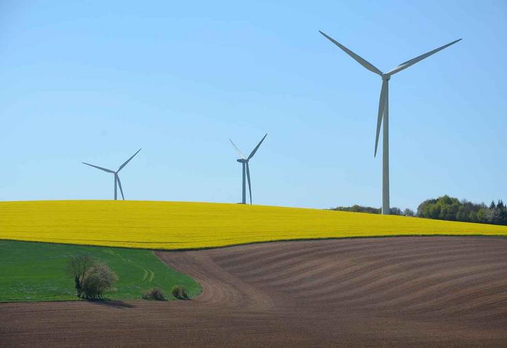 Les élus régionaux du groupe écologiste continuent de croire en le développement de l’éolien. 