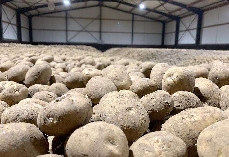 Le stockage pourrait être difficile à maîtriser pour certains lots. 