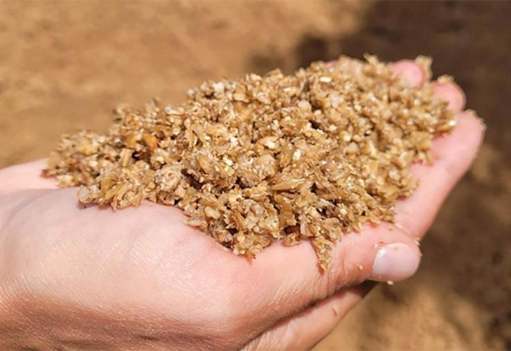 On compte environ 100 tonnes de drêches humides, soit l’équivalent  de 20 à 25 tonnes de matière sèche.