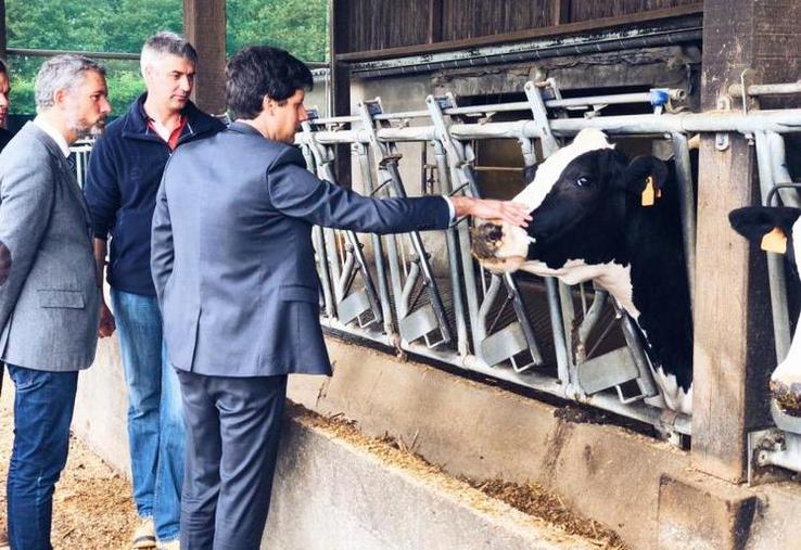 Quatre ministres de l'Agriculture défendent la stratégie du gouvernement contre la DNC.