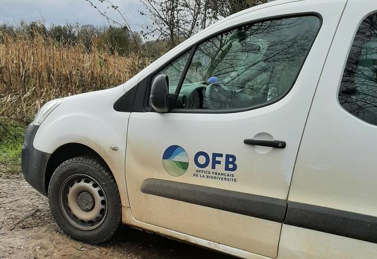 réponse de l'OFB à la nomination d'Anne Le Strat