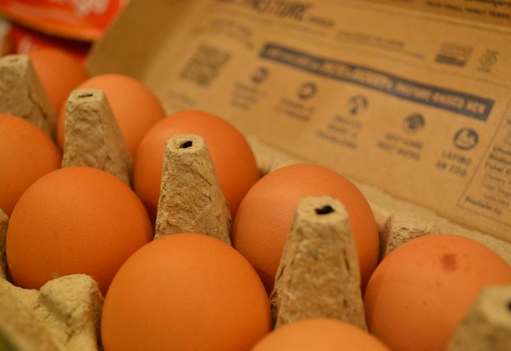 oeufs rupture consommation pénurie