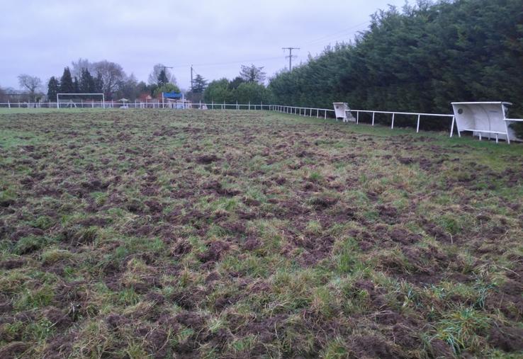 terrain de football sanglier dégâts Voyennes 