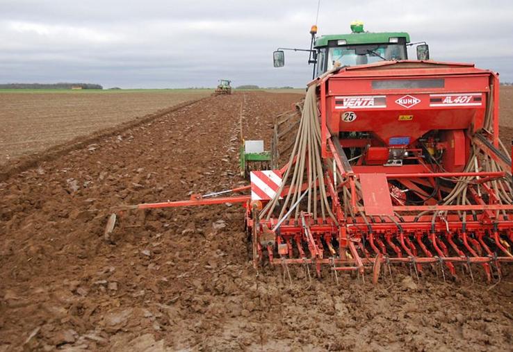 semis de céréales d'hiver