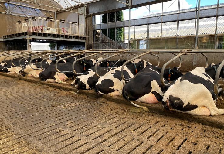 manifestation pour le prix du lait