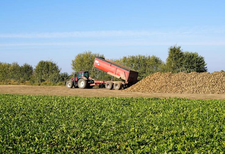 régime de perfectionnement actif