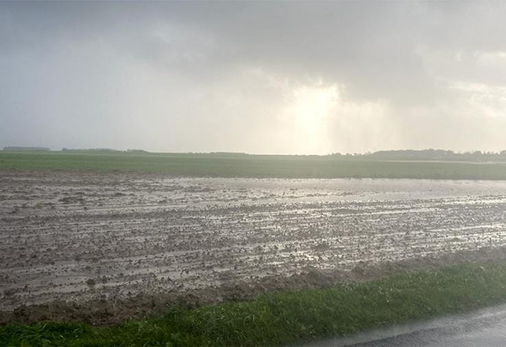Malgré une majorité des semis réalisés en «bonnes conditions», le fait marquant reste la pluviométrie exceptionnelle : avec plus de 150 mm relevés sur le secteur d’Abbeville en octobre.