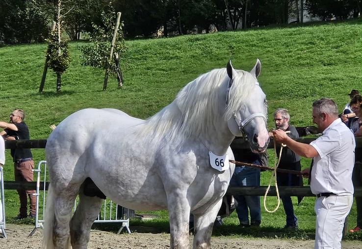 Au moment d’emmener son cheval,  il a une pensée pour son père,  qui lui a transmis la passion. 