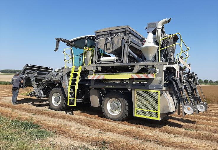 L’un des leviers pour se rapprocher de l’autonomie en semences est la diversification du matériel de récolte.  La Calira investit dans cette nouvelle arracheuse-stripper d’Hyler.