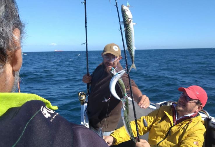 quota sur la pêche du maquereau