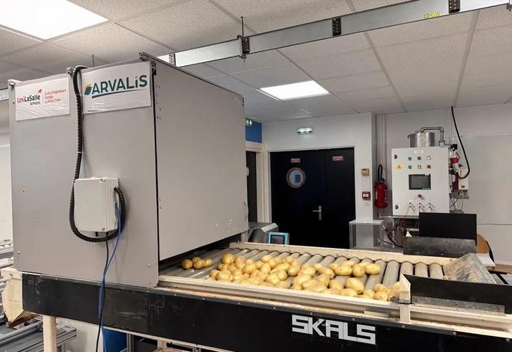Le prototype créé par les étudiants d’UniLasalle Amiens permet de compter  et trier sans intervention humaine les tubercules de pommes de terre.