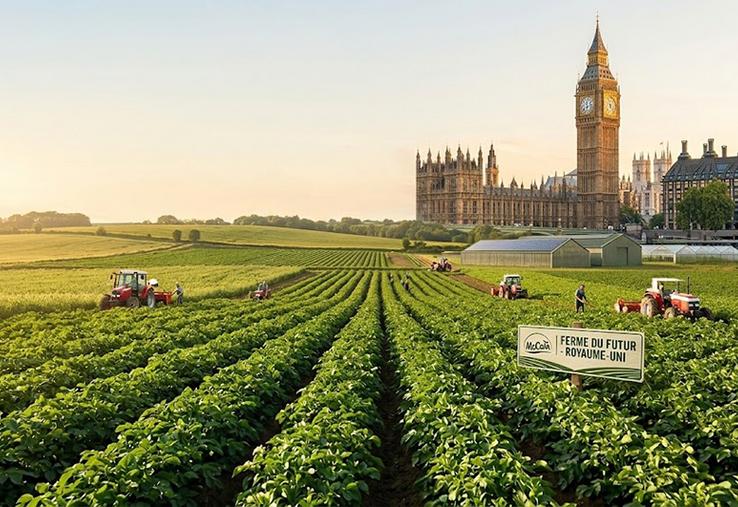Aujourd’hui, au Royaume-Uni, 86 % des surfaces de pommes de terre travaillées avec ses partenaires sont intégrées dans son cadre d’agriculture régénératrice, avec des niveaux d’engagement variables. 