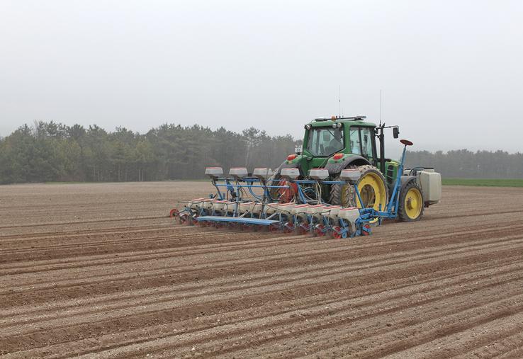 La date de levée (et non de semis) conditionne le potentiel de rendement : l’idéal est que toutes les betteraves soient levées pour la fin mars. 