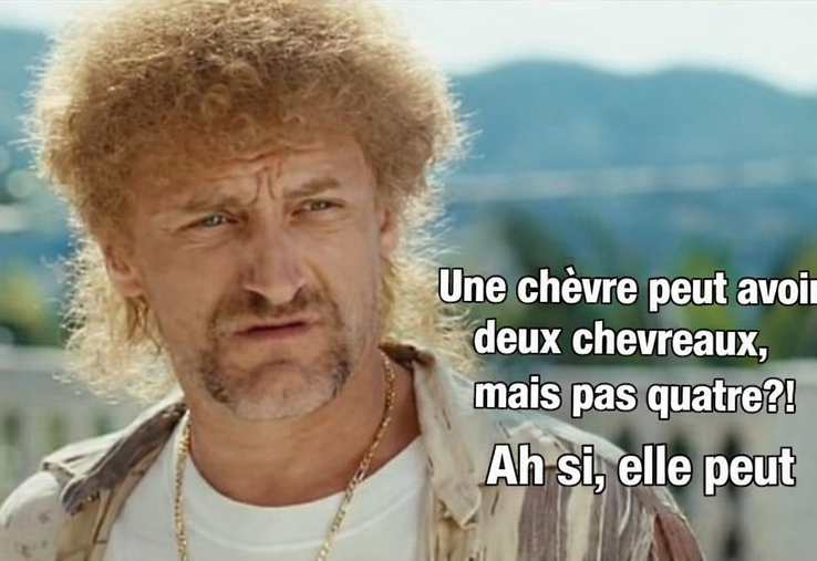 naissance de quadruplés à la Label Chèvrerie Aille-sur-Noye