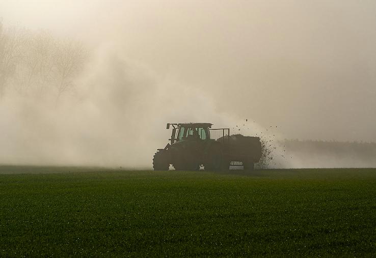 Mieux vaut éviter d’épandre le fumier un jour de vent, car la bactérie volatile  est excrétée dans les bouses. 