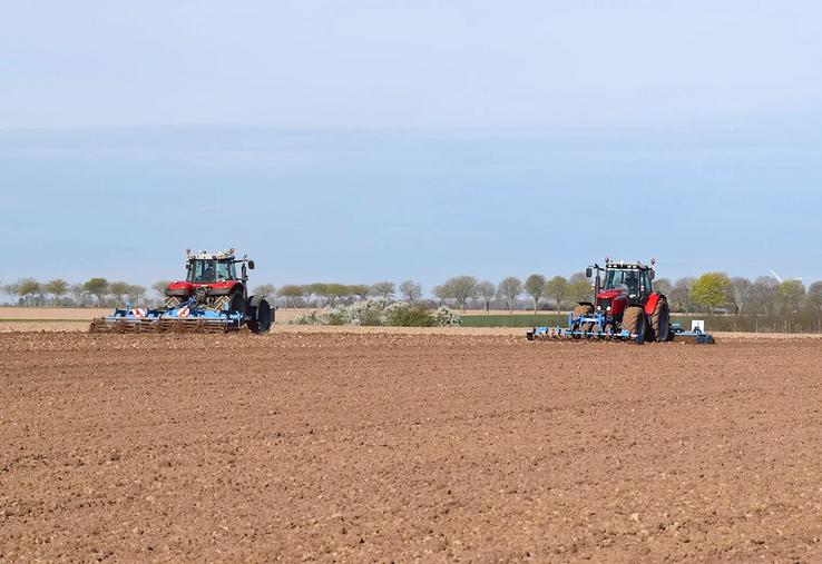 Les conditions doivent être réunies pour un départ vigoureux de la plante. 