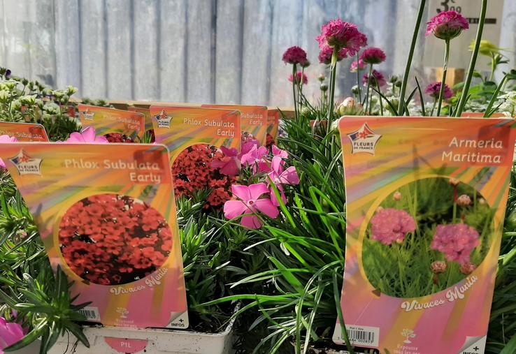 label fleurs et plantes pour jardin étude