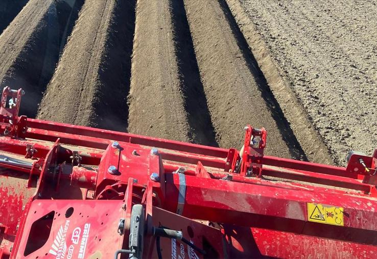 Plantation dans le secteur de Péronne (80) au 7 avril.