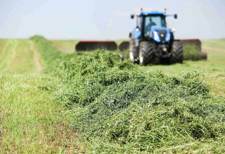 Les surfaces de luzerne devraient se stabiliser en 2026, pour grimper légèrement en 2027, après avoir légèrement reculé entre 2024 et 2025. 