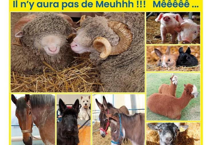 Foire de Pâque Montdidier 