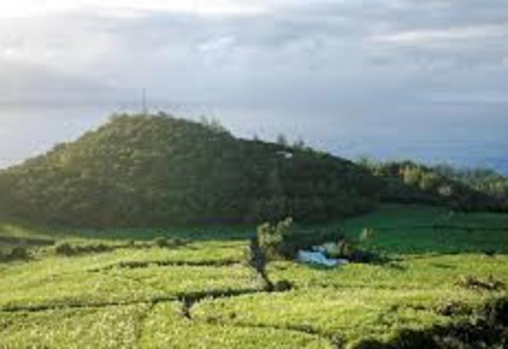 Tereos La Réunion Île Maurice sucre de canne