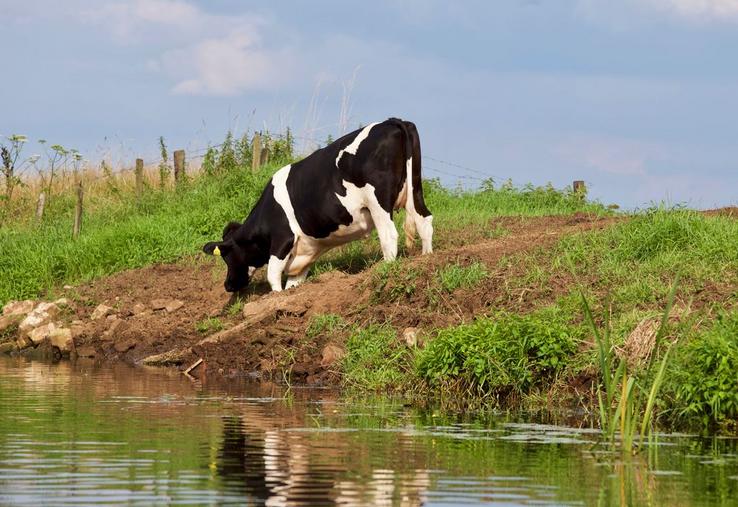journée mondiale des prairies naturelles agence de l'eau Artois Picardie