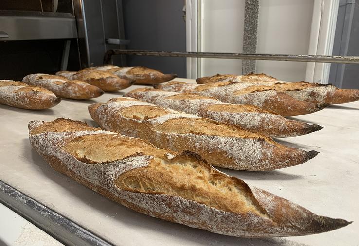 Dans son cycle de vie, l’Avocette génère 123,63 g de CO2, contre 387 g de CO2 pour une baguette classique. 