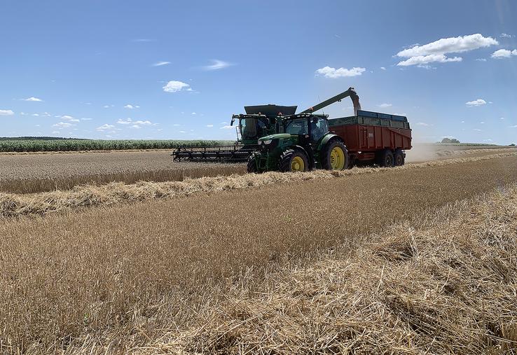Les récoltes d’orge d’hiver et de colza semblent en progression par rapport à l’année dernière. 