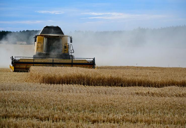 Les céréaliers redoutent une quatrième année dans le rouge. 
