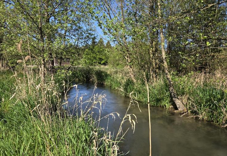 gestion de l'eau cours d'eau rivières vigilance sécheresse irrigation
