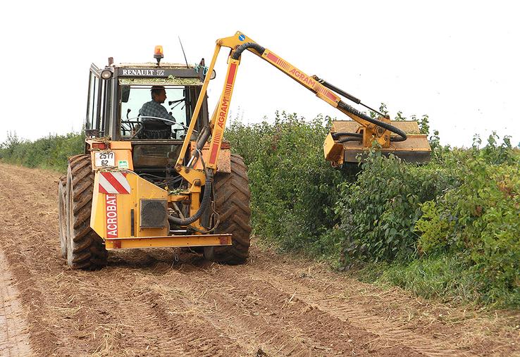 L'entretien des haies doit concilier obligations réglementaires,  protection de la biodiversité et bonnes pratiques agricoles.