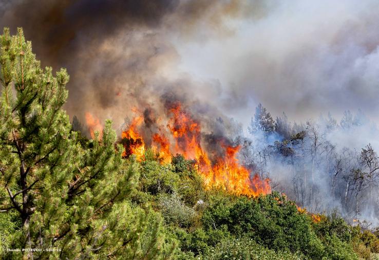 incendies 