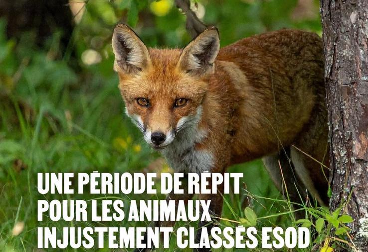 ESOD piégeage Monique Barbut ASPAS One Voice