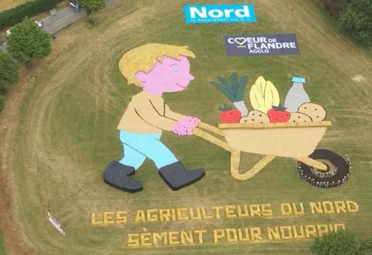 Tour de France fresques