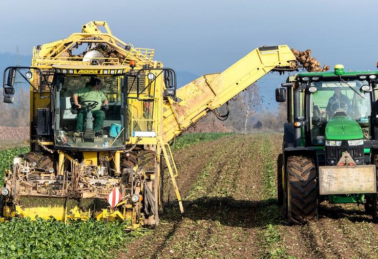 betteraviers et loi d'urgence agricole betteraves CGB