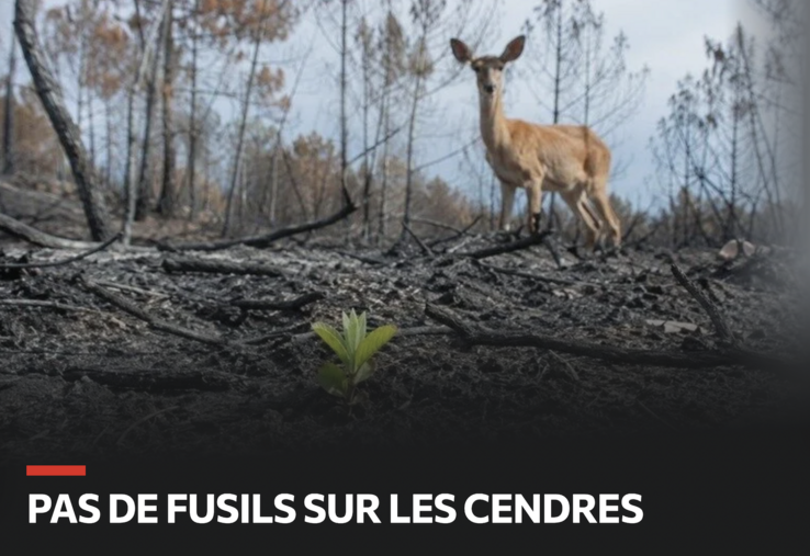 chasse pétition sécheresse canicule incendie