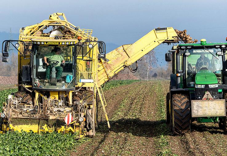 La situation serait très variable selon les secteurs.