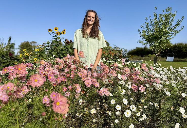 Clarisse a ouvert la ferme florale du P’tit Quesnoy il y a quatre ans. 