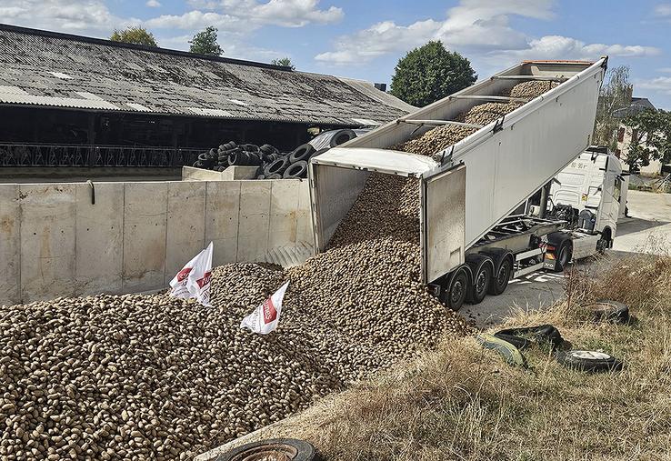 Vingt-trois camions ont livré des pommes de terre dans treize exploitations  différentes sur le département de la Mayenne.  