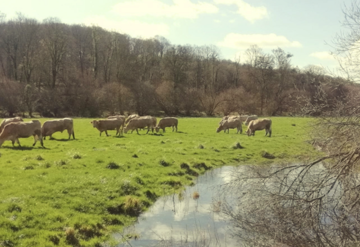 Initiatives paysannes agriculture paysanne