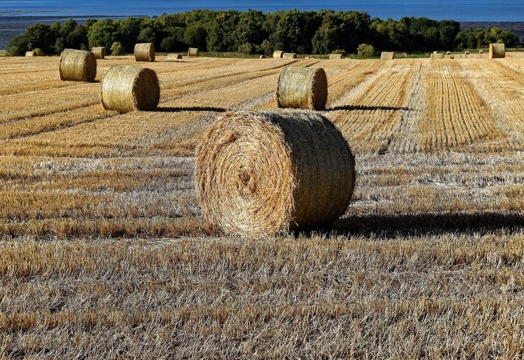 dégrèvement taxes foncières sur le non bâti 