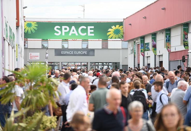 SPACE Rennes