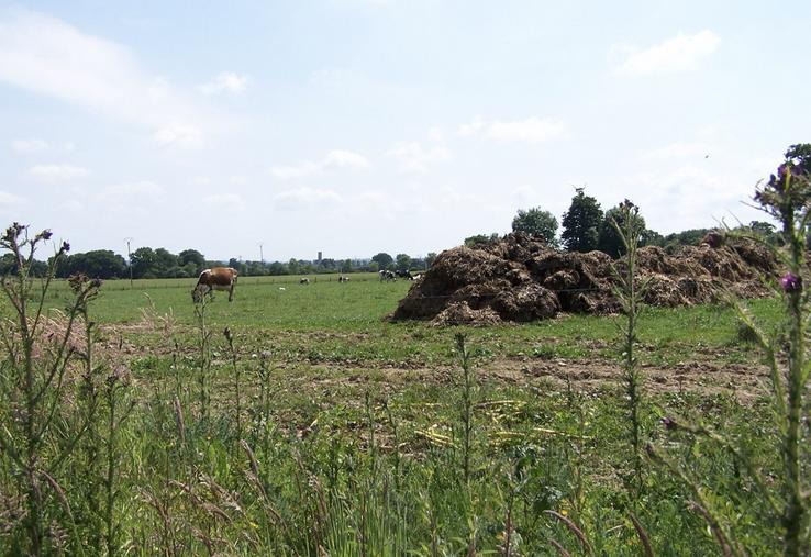 Une prairie déficitaire en potassium présente des repousses plus lentes et une moindre résistance aux épisodes climatiques. 