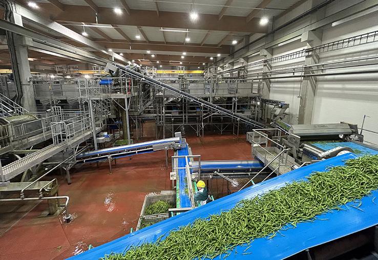 110 000 tonnes de conserves et 75 000 tonnes de surgelés sont produites  à l’année par le site Bonduelle d’Estrées-Mons, dans la Somme. 